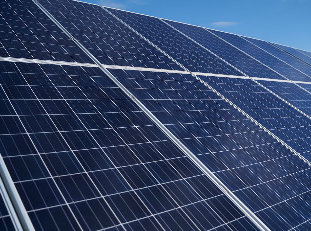 Photovoltaikmodule im Sonnenlicht